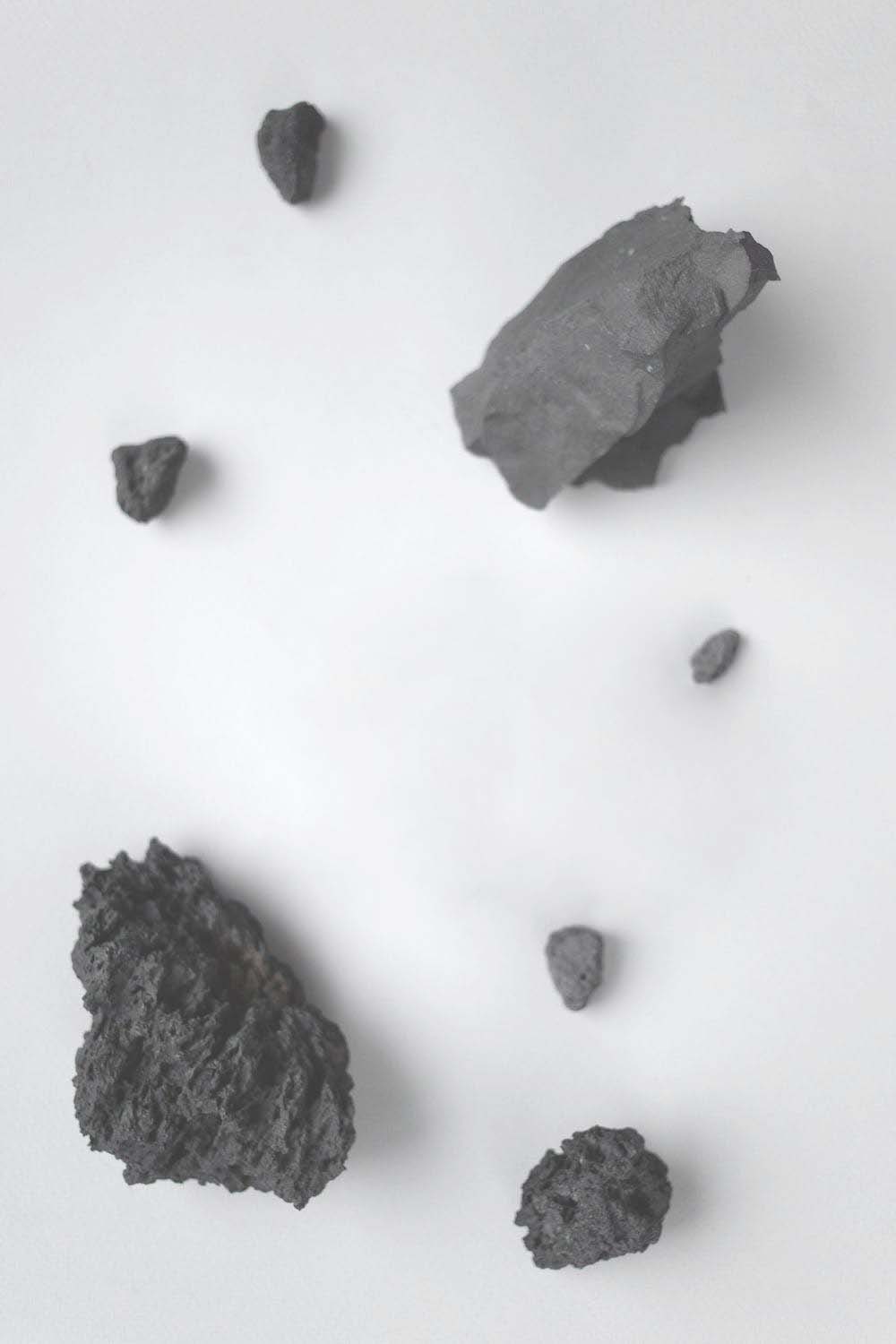 Le charbon végétal - Doctissimo